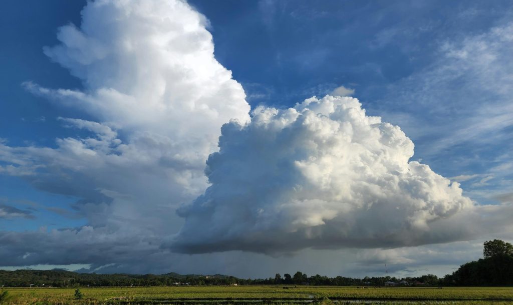 Majestic cumulus clouds forming in a clear blue sky over a lush green field.