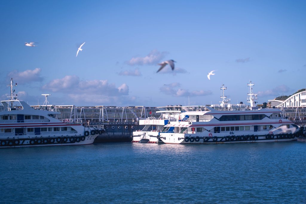 Tranquil harbor scene with ferries docked under a blue sky, surrounded by seagulls.