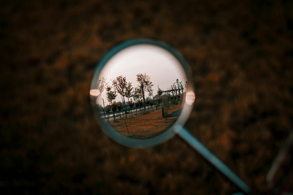 Artistic reflection of trees in park seen through round mirror during sunset. Unique perspective.
