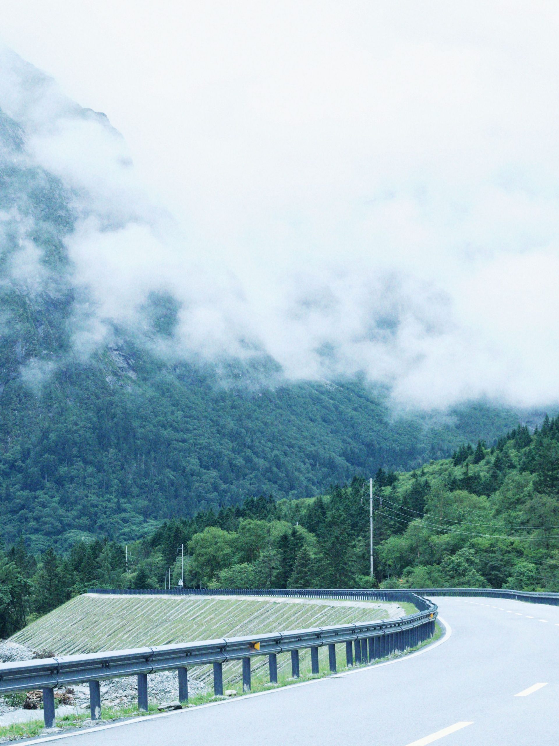 Misty mountain road curving through lush trees, perfect for travel and adventure imagery.